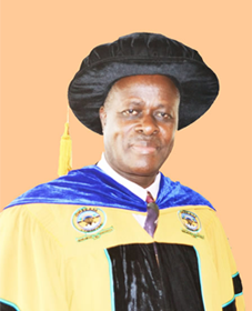 Prof. Julius Nyabundi