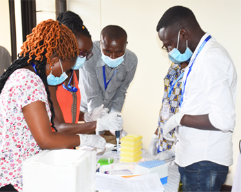 Laboratory Practical Sessions