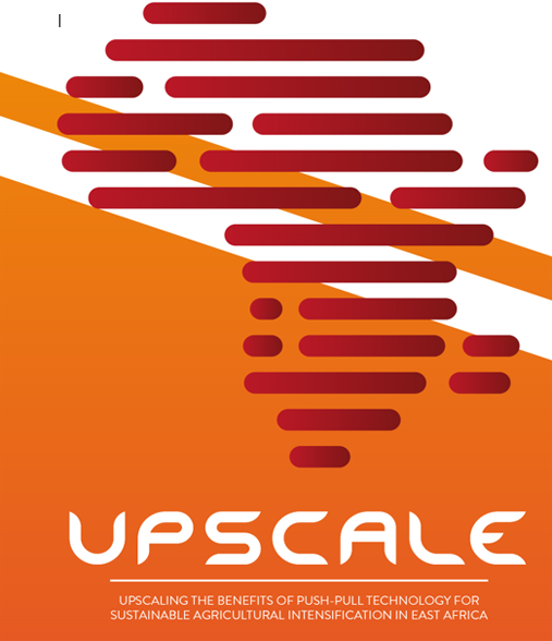upscale1